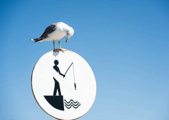 Das ist mein Fischrevier