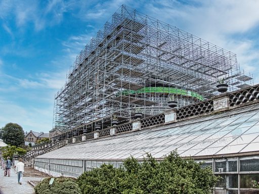 im botanischen Garten